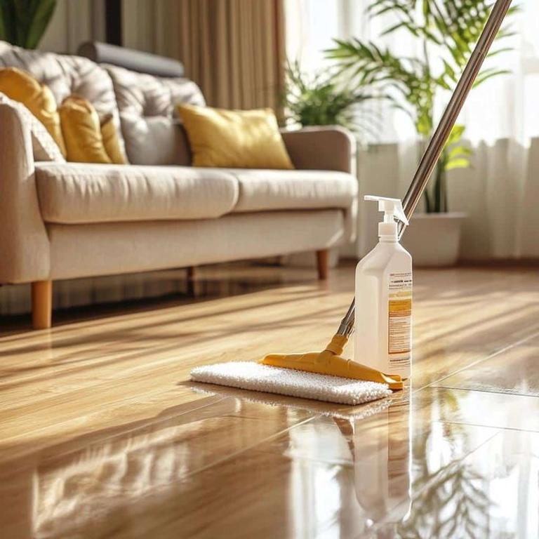 PRODOTTI PER LA PULIZIA